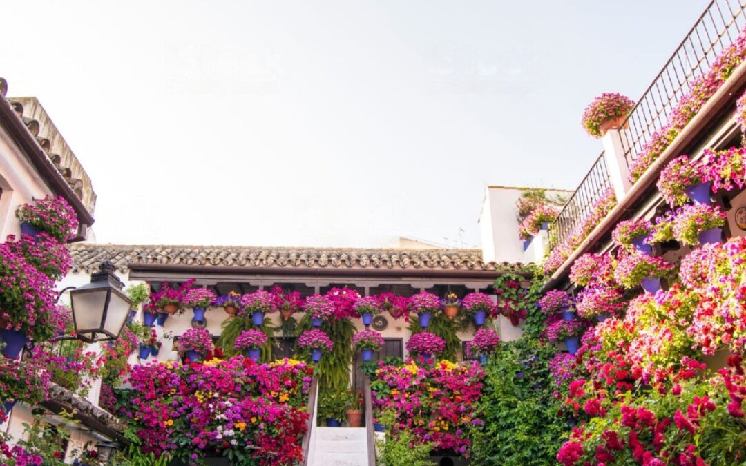 Guía para no perderse los Patios de Córdoba