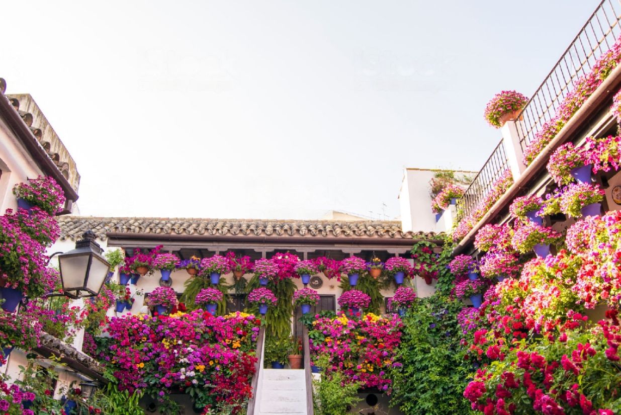 patios de córdoba