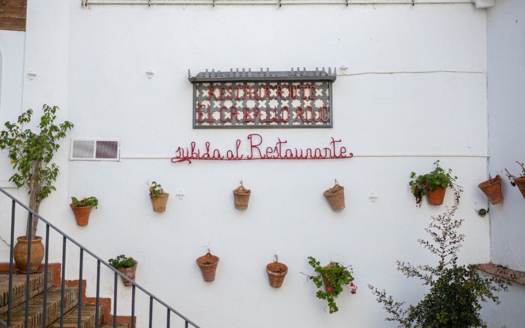 El Caballo Rojo, un restaurante con terraza en Córdoba